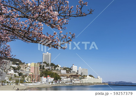 【熱海桜 ビーチ】 【熱海桜 ビーチ】 59257379