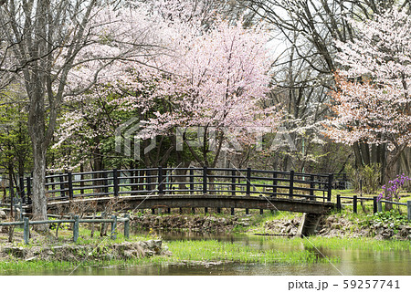エドウィン・ダン記念公園  札幌市 59257741
