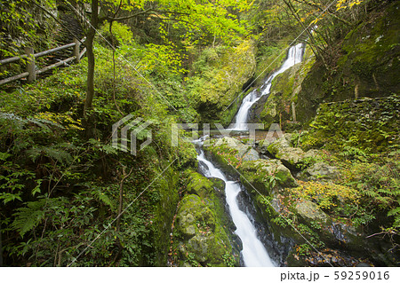 梅の木轟の滝 59259016