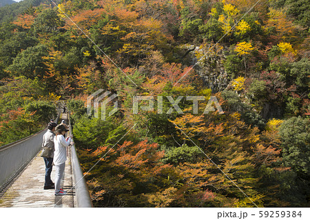 梅の木轟公園吊り橋 梅の木轟公園吊り橋 59259384