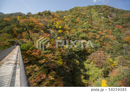 梅の木轟公園吊り橋 59259385
