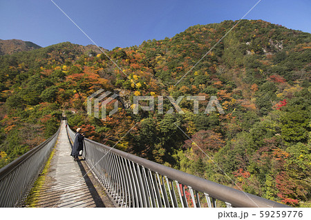 梅の木轟公園吊り橋 59259776