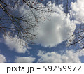 冬の日の枯れ木とよく晴れた空と白い雲 59259972