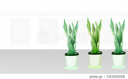 廊下 室内 部屋 白 グレー 植木 静か 清潔 上品 観葉植物のイラスト素材