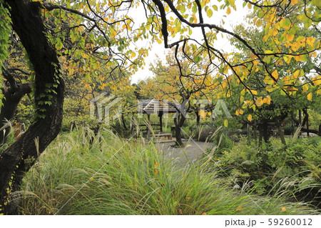 東京都墨田区　向島百花園 59260012