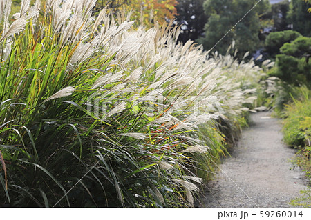 東京都墨田区　向島百花園 59260014