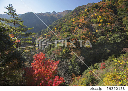 梅の木轟公園吊り橋 59260128