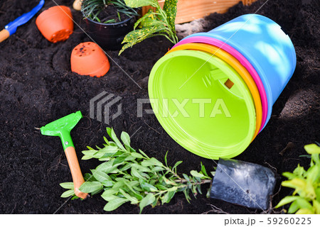 Gardening tools on soil background ready to 59260225