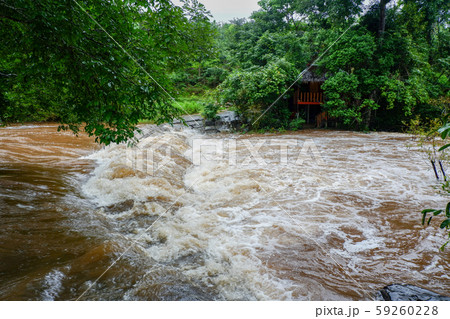 Water flood on river after heavy rain rapids water 59260228