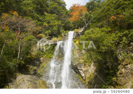 せんだん轟の滝 59260480