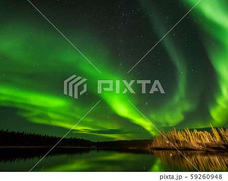 カナダ イエローナイフ郊外のオーロラ Aurora of Yellowknife, Canada カナダ イエローナイフ郊外のオーロラ Aurora of Yellowknife, Canada 59260948