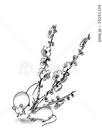 ねずみと梅の花4のイラスト素材 59261194 Pixta