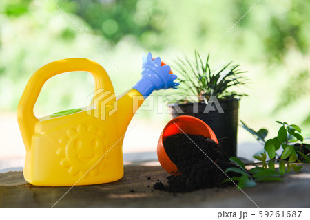 watering plant with colorful watering can and pot watering plant with colorful watering can and pot 59261687