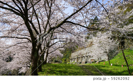 桜咲く佐渡金山近代産業遺産、搗鉱場 桜咲く佐渡金山近代産業遺産、搗鉱場 59262092