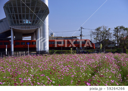 神埼駅のコスモスとハウステンボス号 59264266