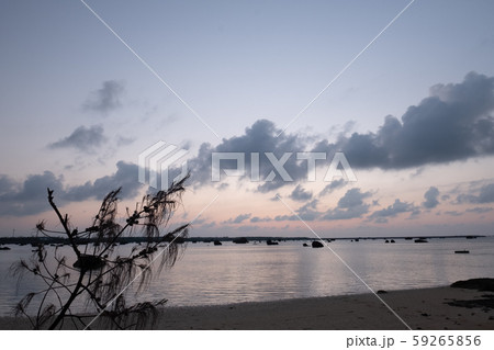 秋の海 59265856