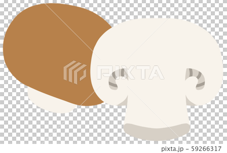 Illustration without main line of brown mushroom with one and cut halves arranged Illustration without main line of brown mushroom with one and cut halves arranged 59266317