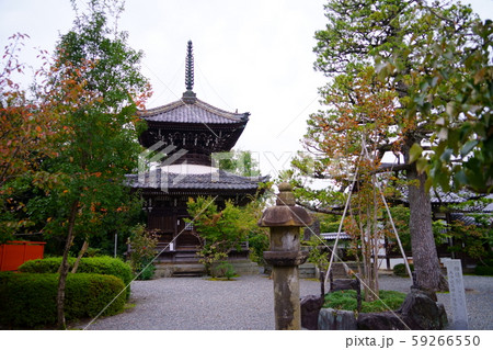 西国札所・穴太寺多宝塔 西国札所・穴太寺多宝塔 59266550