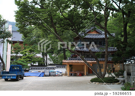城北区 吉祥寺 節 59266655