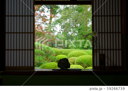 書院から見る日本庭園４ 59266739