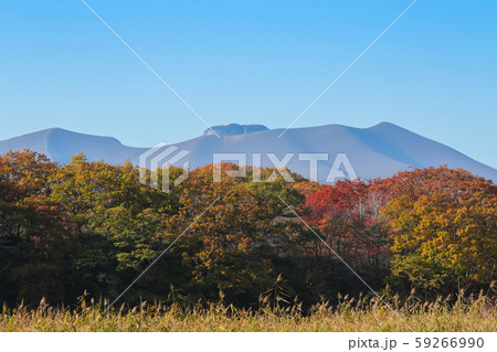 錦大沼公園と紅葉の樽前山 59266990
