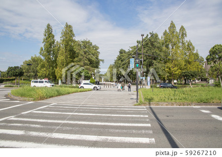 鶴見緑地公園 鶴見緑地公園 59267210