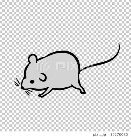 ねずみの手描きイラスト素材 ベクター 子年 2020 年賀状 正月 ねずみの手描きイラスト素材 ベクター 子年 2020 年賀状 正月 59270080