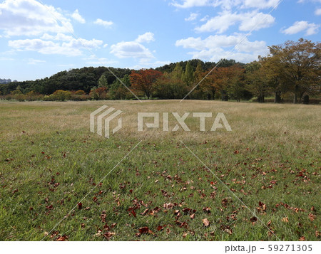 神戸市　西区　公園　樹木 59271305