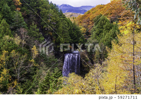 (長野県)乗鞍高原 滝見台から眺める、善五郎の滝 (長野県)乗鞍高原 滝見台から眺める、善五郎の滝 59271711