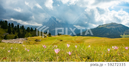 Summer landscape of mount Langkofel, South Tirol, Dolomites mountains, Italy Summer landscape of mount Langkofel, South Tirol, Dolomites mountains, Italy 59272335
