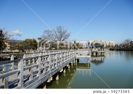 長岡天満宮　八条ヶ池と水上橋 59273563