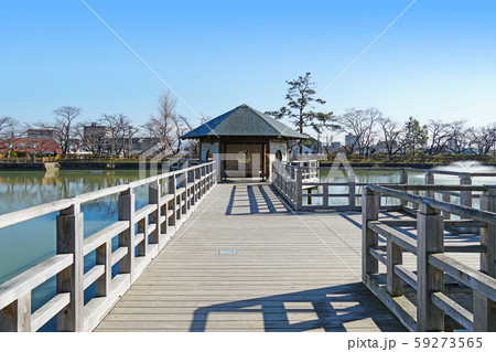 長岡天満宮 八条ヶ池と水上橋 長岡天満宮 八条ヶ池と水上橋 59273565