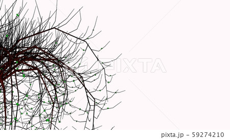 細い枝が入り混じる木のイラスト素材