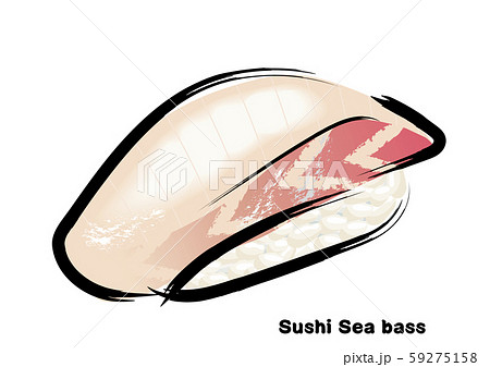 筆タッチ 手描きの寿司 鮨のイラスト スズキの握り寿司のイラストのイラスト素材