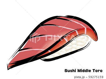 筆タッチ 手描きの寿司 鮨のイラスト 中トロ マグロの握り寿司のイラストのイラスト素材