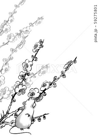 ねずみと梅の花年賀状 縦モノトーン ねずみと梅の花年賀状 縦モノトーン 59275801