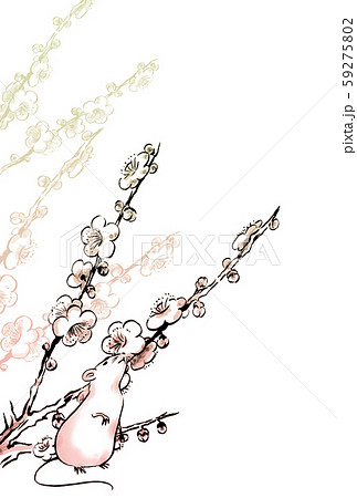 ねずみと梅の花年賀状 縦 ねずみと梅の花年賀状 縦 59275802