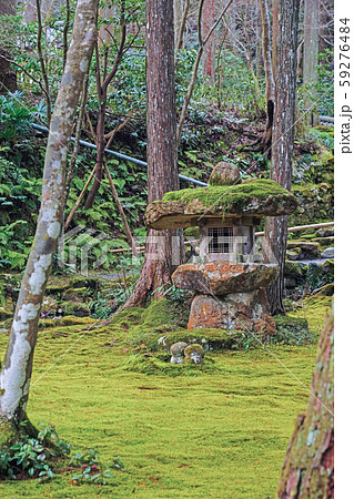 京都　大原三千院　有清園　石灯篭 59276484