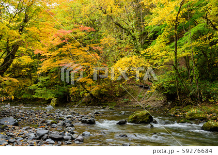 七滝の清流 59276684