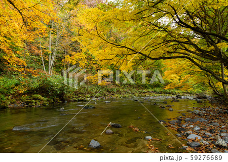 七滝の清流 59276689