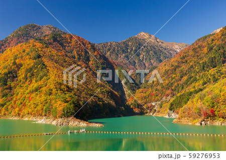 長野ー紅葉の大町ダム 59276953