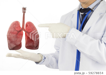doctor check respiratory of lung , lungs disease , 3D concept  59278654