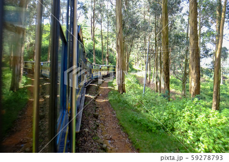 世界遺産「インドの山岳鉄道群」インド最古の山岳鉄道のひとつニルギリ山岳鉄道 59278793
