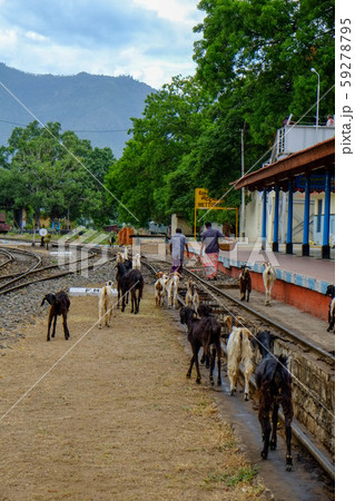世界遺産「インドの山岳鉄道群」インド最古の山岳鉄道のひとつニルギリ山岳鉄道 世界遺産「インドの山岳鉄道群」インド最古の山岳鉄道のひとつニルギリ山岳鉄道 59278795