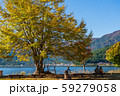 紅葉の河口湖 59279058