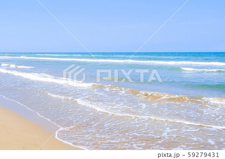 海 海 59279431