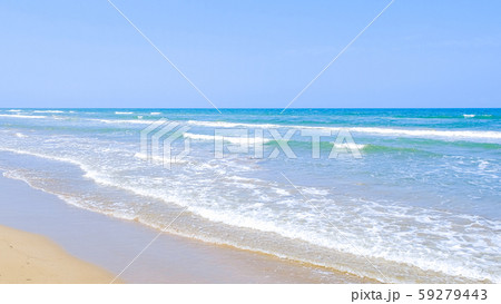 海 海 59279443