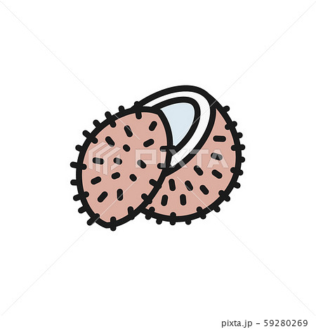 Lychee fruit, coconut flat color icon. Isolated on white background 59280269