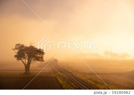 朝霧を抜けて 59280962