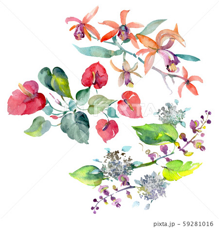 Bouquet floral botanical flowers. Watercolor background illustration set. Isolated bouquets Bouquet floral botanical flowers. Watercolor background illustration set. Isolated bouquets 59281016